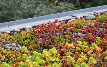 the cost of Upper Gravenhurst green roof installation